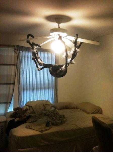 Így ijeszt meg a párod...