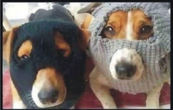 Csak add ide szép lassan a kolbászt...