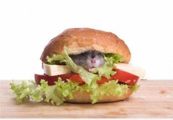 Bizarr ételek rovatunk, mai nyertese