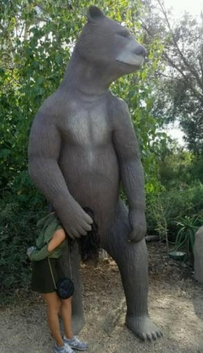 Definíció - Maci a málnásban