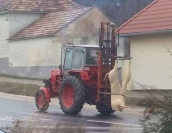 Hiába a csúszós út, ha hívják megy