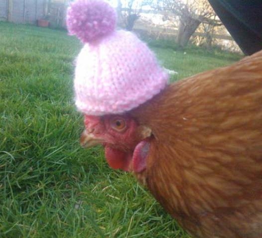 Napiszar időjárás előrejelzés