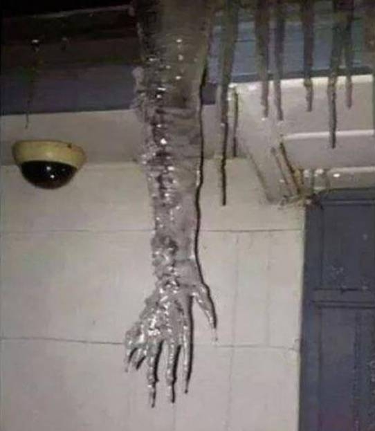 A bizarr rovat mai befutója