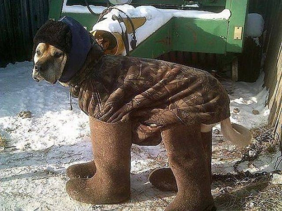 Kutya egy hideg van, ma reggel is