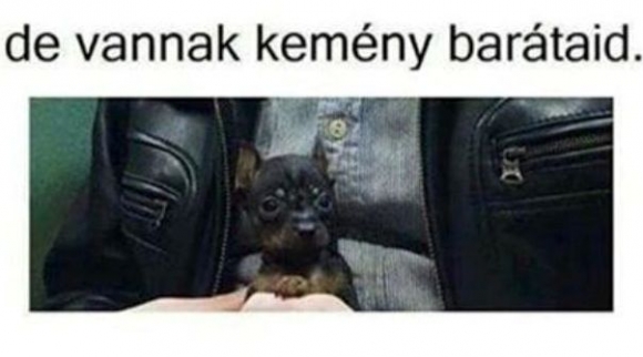 Amikor te kicsi vagy, 