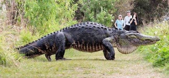 Floridába költöznél?