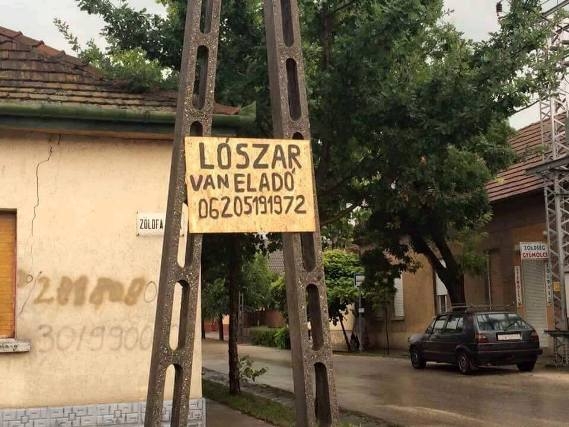 Befutott a nap ajánlata