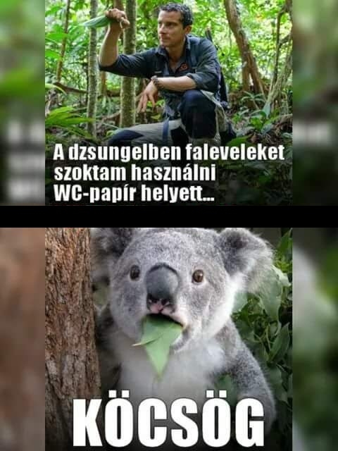 Épp ebédidőben kapta az infót...