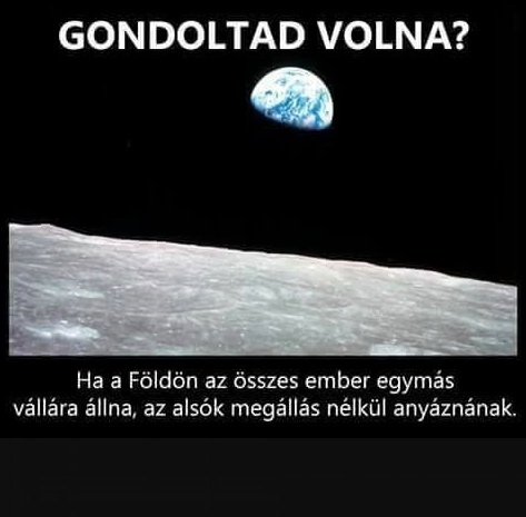 Napiszar tudományos rovat