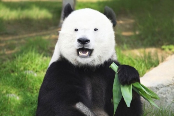 Amikor a haverod leveszi a szemüvegét