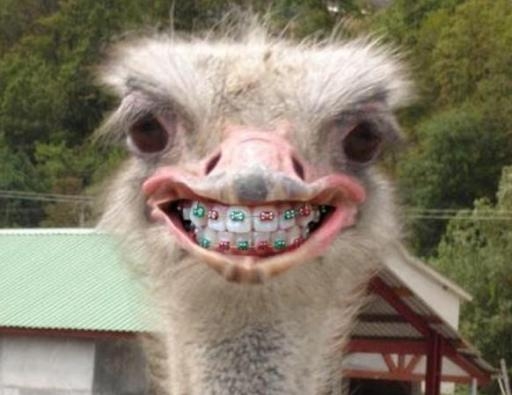 Végzős tablóképek a középiskolában...