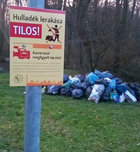 Eközben a szombathelyi parkerdőben...