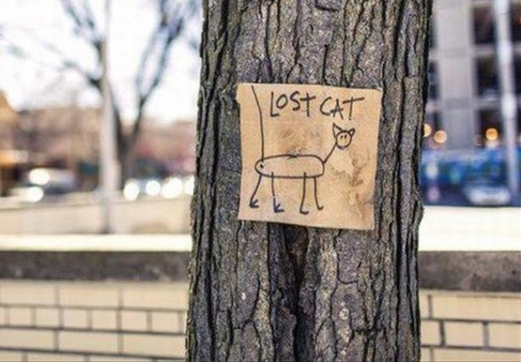 Eltűnt, keressük... 