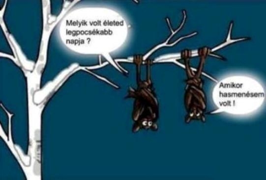 Az tényleg szar nap lehetett