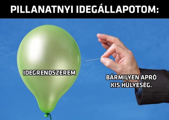 A melóhelyemen mindig