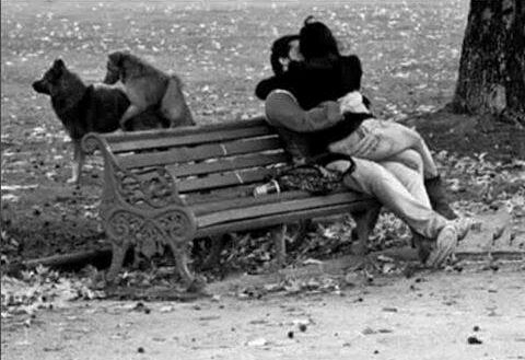 Kitavaszodott rendesen...