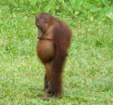 Így érzem magam, amikor...