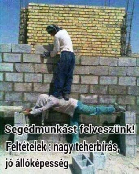 Állásajánlat