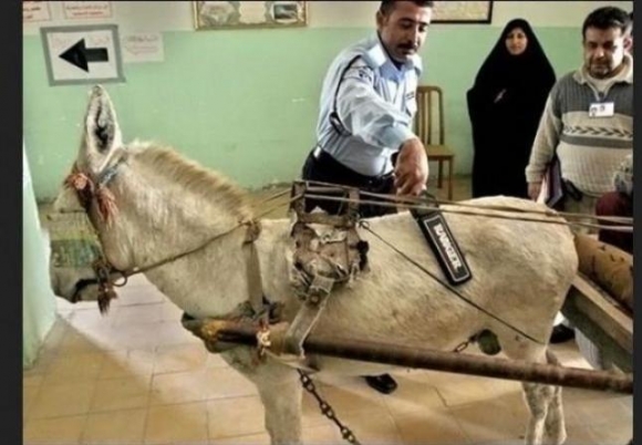 Eközben az Afgán határon...