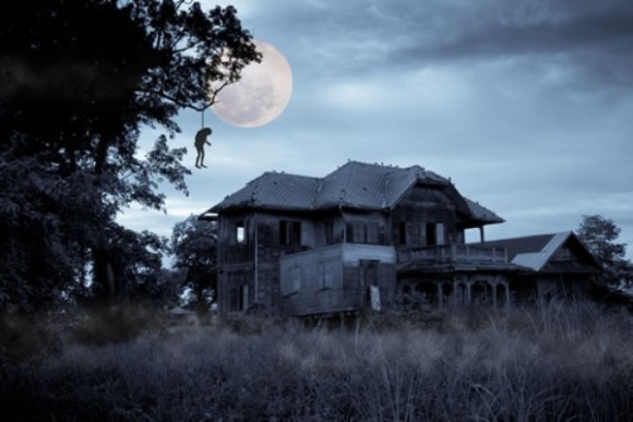 Egy bizarr hirdetés