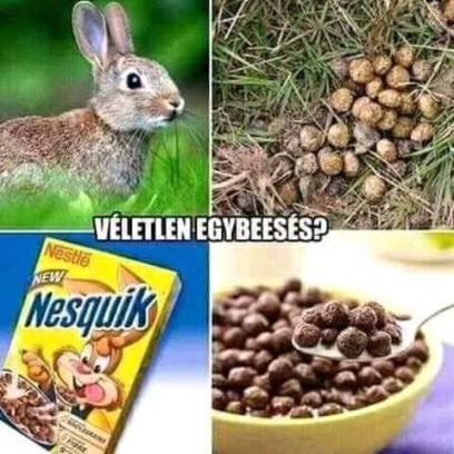 Napi elgondolkodtató