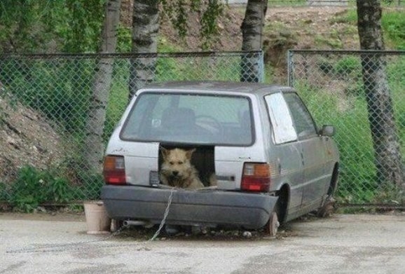 Fiat Unoból kutyaól