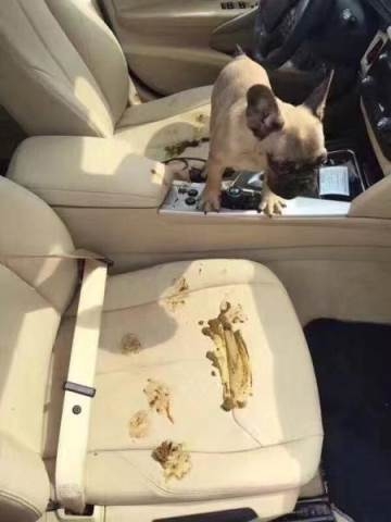 Anyuci egyetlen csöppsége