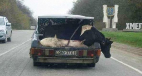 Fuvarban a szállító