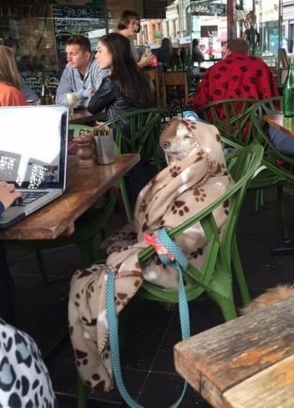 Lehűlt a levegő, hidegfront érkezik