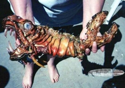 Ezért nem pecázunk Oroszországban