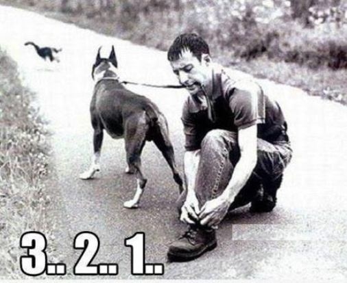 Fogak elvesztése indul...