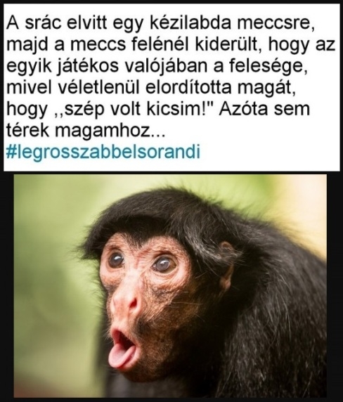 Volt bőr a pofáján...