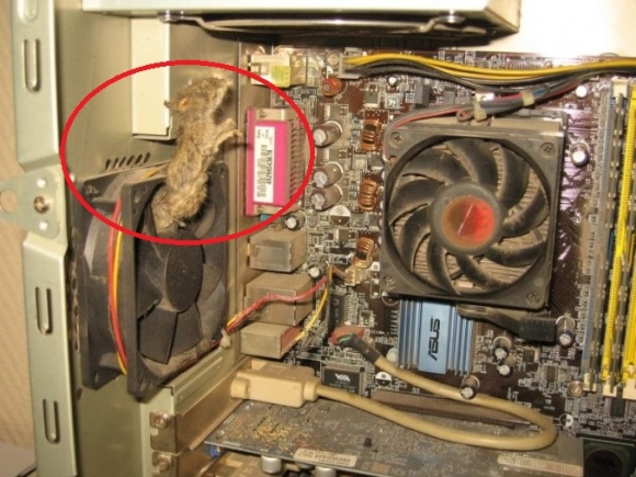 Ő vajon, hogy került oda?