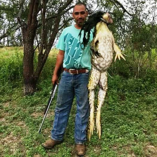 Ma rántott békacomb lesz ebédre