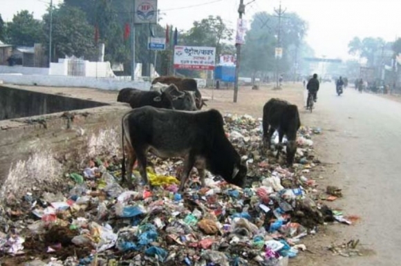 Eközben Indiában...