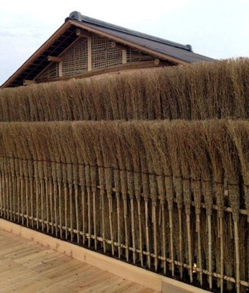 Nemzetközi anyóstalálkozó