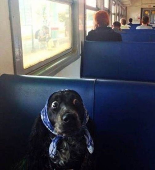 Arcod, amikor rájössz, hogy a bérletet...