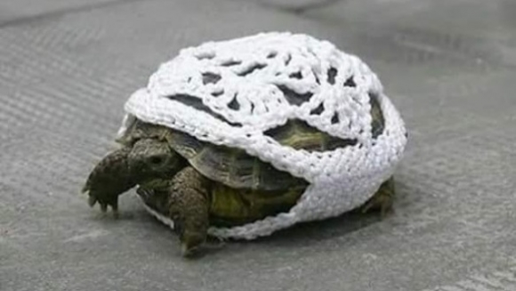 Amikor egy hétvégére a nagyinál hagyod a tekidet