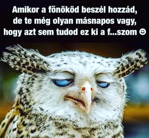 Álmosan indul a hét