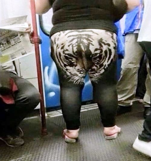 Ha ez a tigris egyszer elkezd üvölteni,