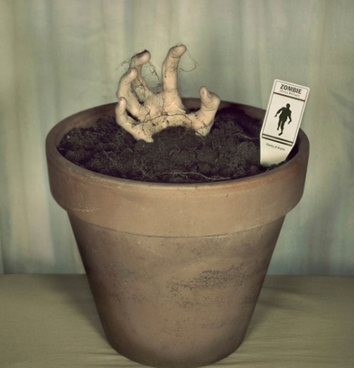 Napi bizarr - Zombi palánta