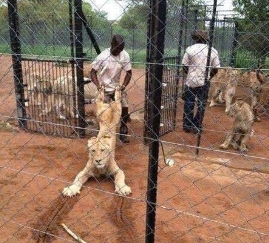 Amikor már indulnál haza,