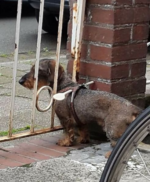 Egy olcsó megoldás, szökés ellen