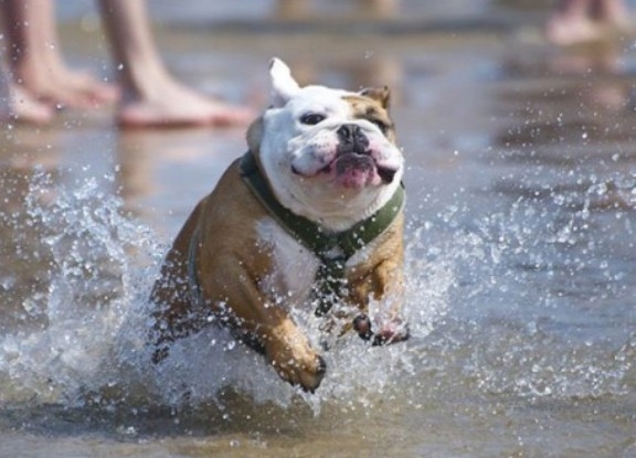 Amikor a tested nem igazán áll készen a nyárra,