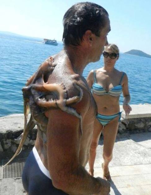 Vajon emberünk észrevette a potyautast?