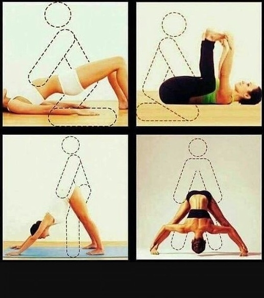 Ahogy a pasik látják a jógát...