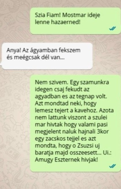 Jól sikerült a szombat éjszaka