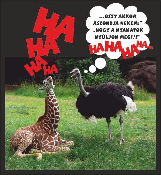 Egy kis humor a szavannáról