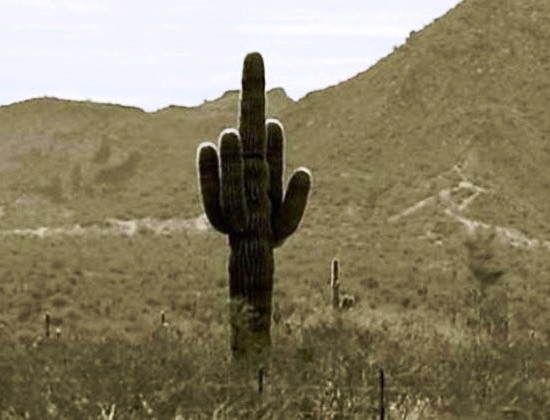 Azt mondták, ha figyelem a jeleket,