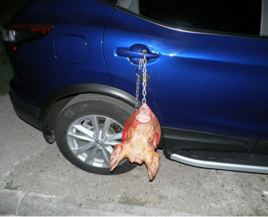 Önnek egy új üzenete érkezett